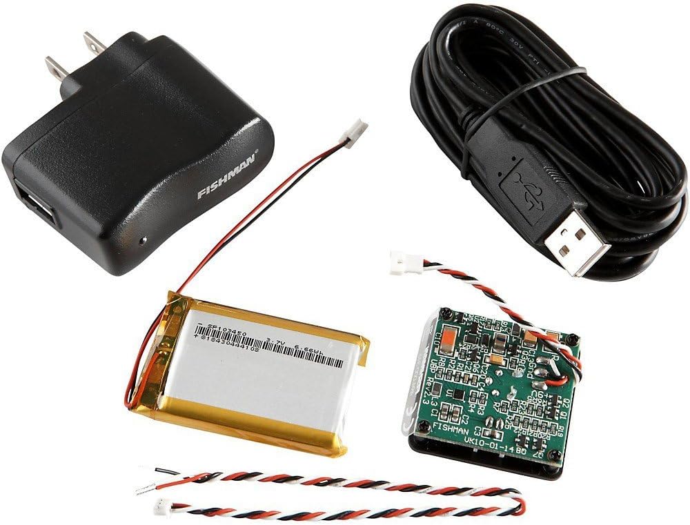 Fishman Universal Rechargeable Battery Pack