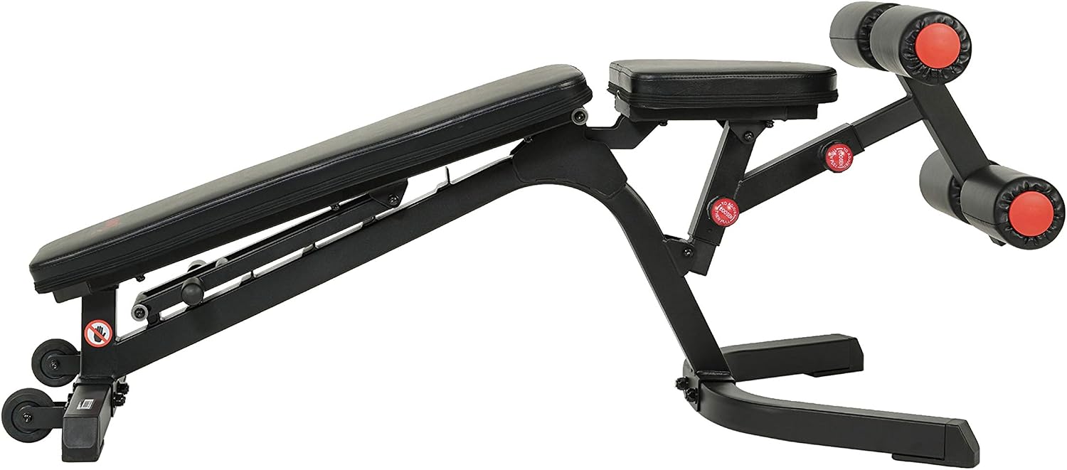 Sunny Health & Fitness Adjustable Weight Bench for Home Gym Strength Training, Incline/Decline, Multi-Position, High Weight Capacity
