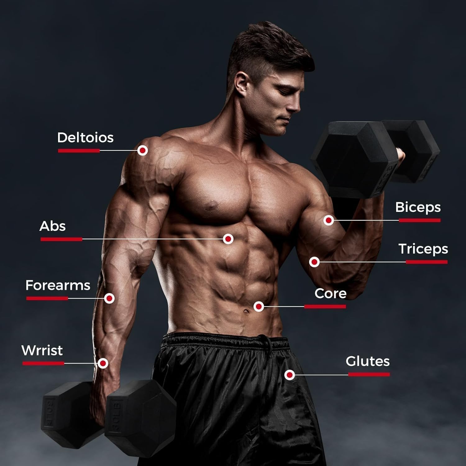 RitFit Rubber Coated Hex Dumbbell Set with Rack, 5-780LB for Home Gym Strength Training, Anti-Slip Knurled Handle, Hexagon Anti-Roll, Heavy-Duty Storage Rack