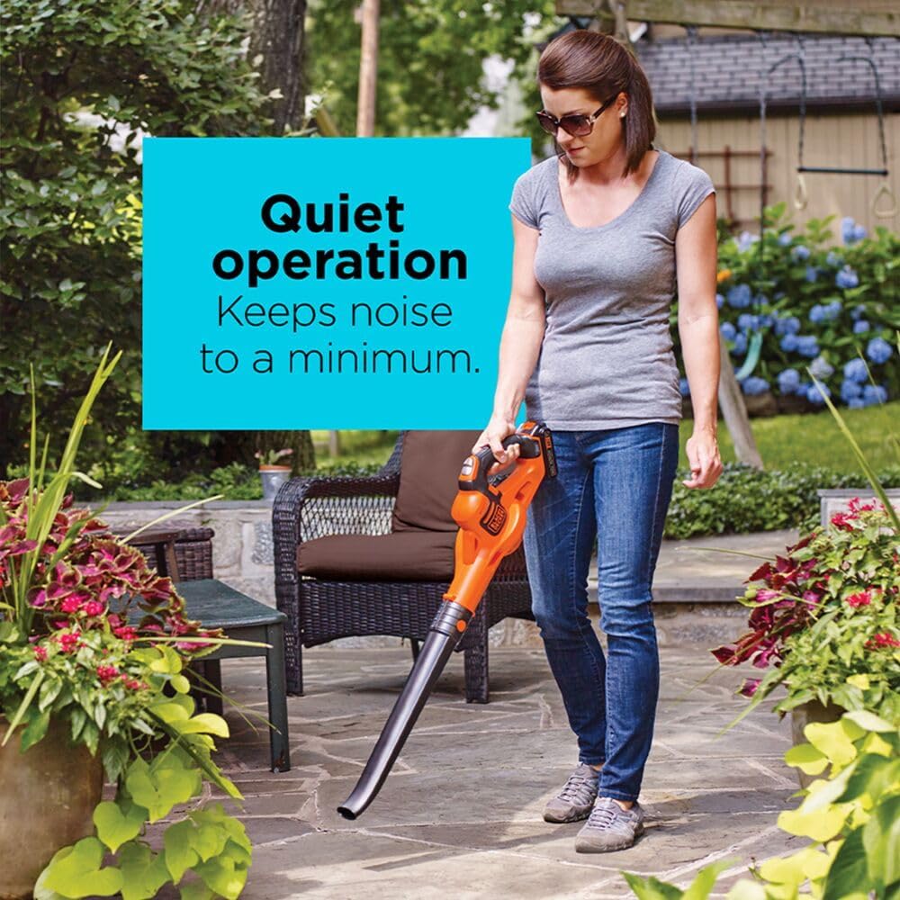 BLACK+DECKER 20V MAX* Cordless Sweeper with Power Boost, Leaf Blower with Battery and Charger (LSW321)