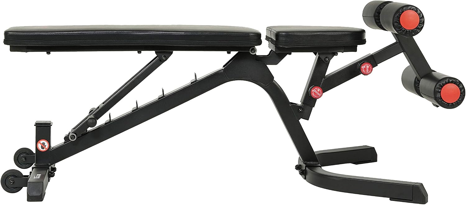 Sunny Health & Fitness Adjustable Weight Bench for Home Gym Strength Training, Incline/Decline, Multi-Position, High Weight Capacity