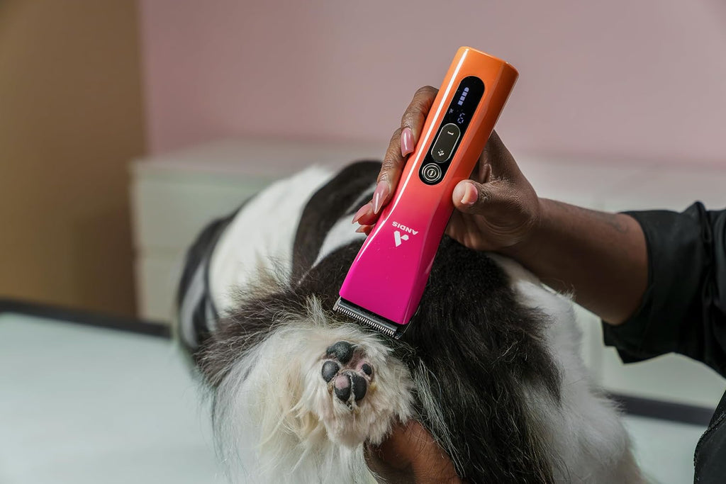 Andis 562745 ProClip 5-in-1 Adjustable Blade Cord/Cordless Pet Hair Clipper, 5 Blade Settings, 5 Speeds, Feather Light, Digital Display Screen, Sunset