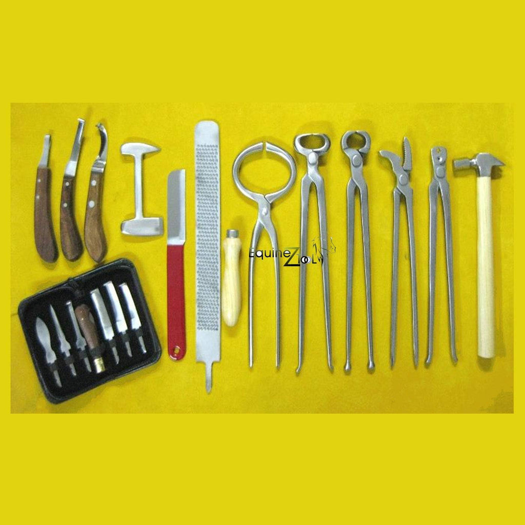 13 PCS Farrier Horse Hoof Kit, Comprehensive Set of Farrier Tools for Hoof Trimming, Horseshoeing, & Professional Equine Hoof Care Perfect for Grooming,Hoof Health, Ideal for Veterinarians