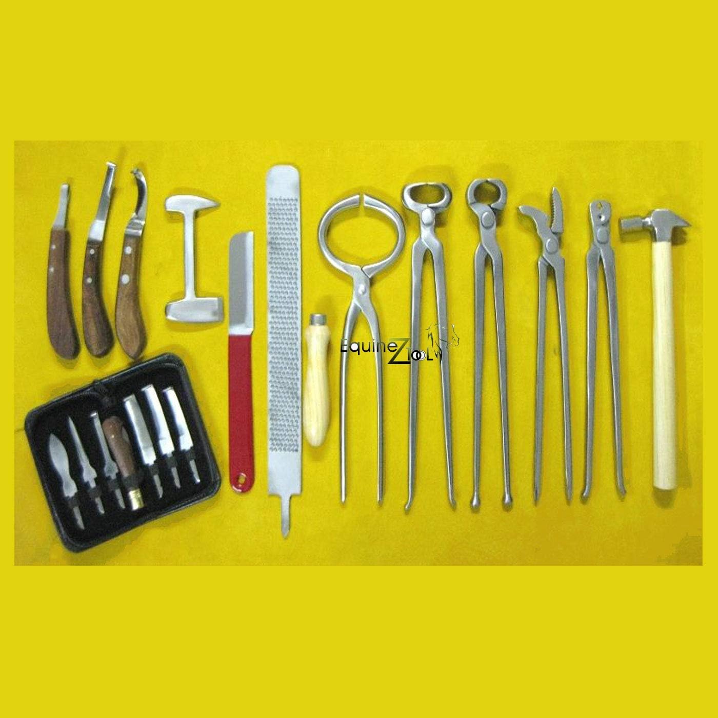 13 PCS Farrier Horse Hoof Kit, Comprehensive Set of Farrier Tools for Hoof Trimming, Horseshoeing, & Professional Equine Hoof Care Perfect for Grooming,Hoof Health, Ideal for Veterinarians