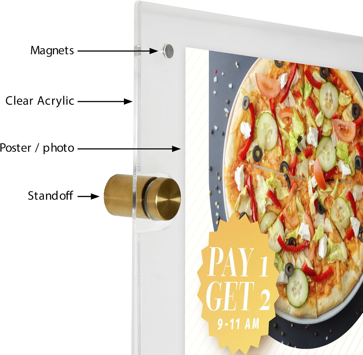 M&T Displays Wall Mounting 24x36 Inch Frameless Clear Acrylic Picture Sign Holder with Brushed Gold Standoff Hardware for Photo Certificate Diploma for Office Classroom Hospital Restaurant Cafe