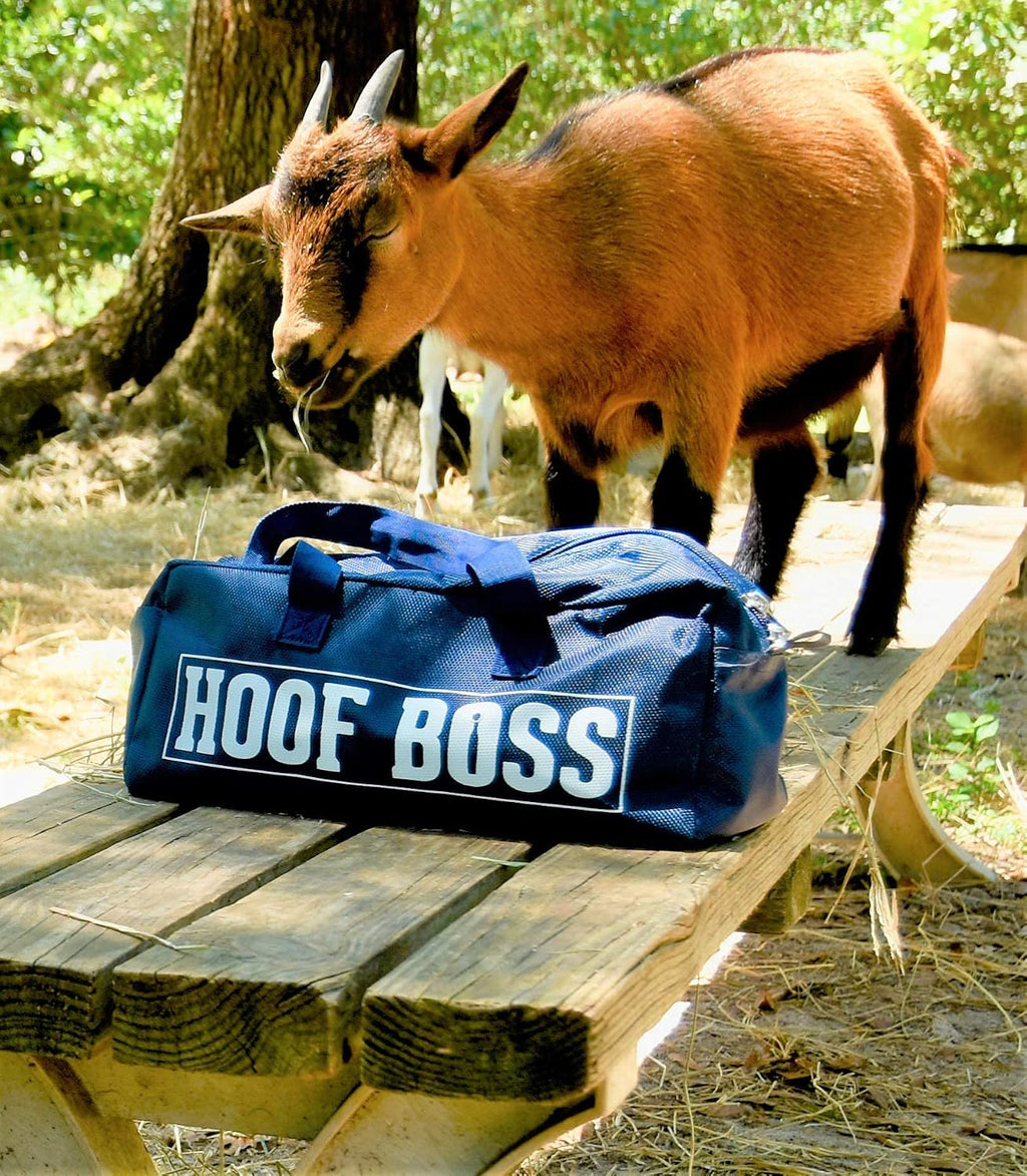 Goat Hoof Trimmers Basic Electric Set 110v - Goat Hooves Trimmer Tool Kit - Grinder Discs and Accessories Included