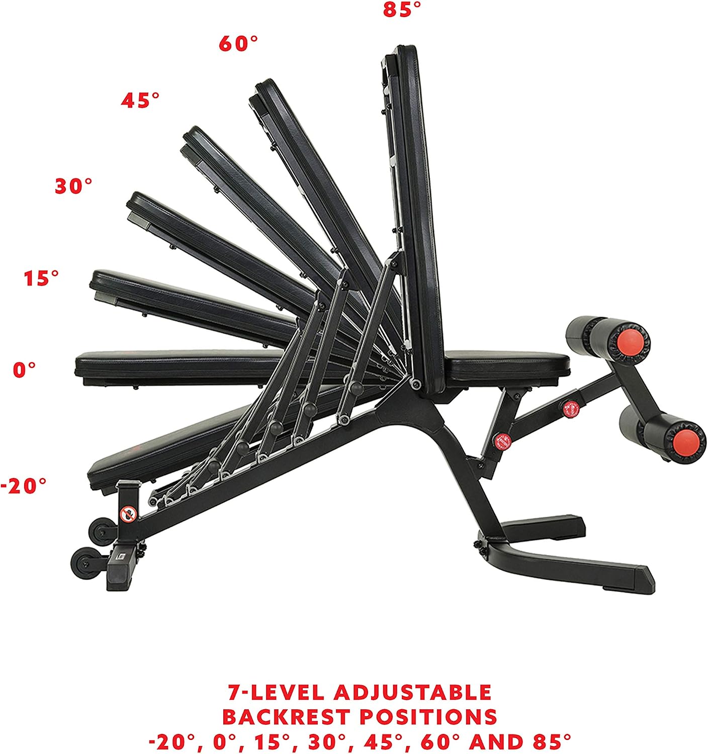Sunny Health & Fitness Adjustable Weight Bench for Home Gym Strength Training, Incline/Decline, Multi-Position, High Weight Capacity