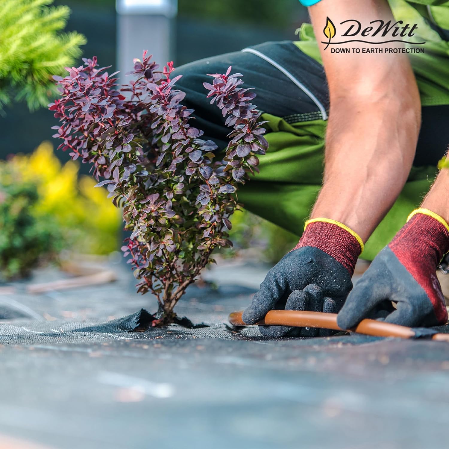 Dewitt 2-Pack Pro-5 Weed Barrier Fabric 5 oz, 6 x 250 Feet – Heavy-Duty Woven Landscape Ground Cover Mat for Raised Garden Bed, Greenhouse Gardening, Outdoor Landscaping, and Commercial Planting
