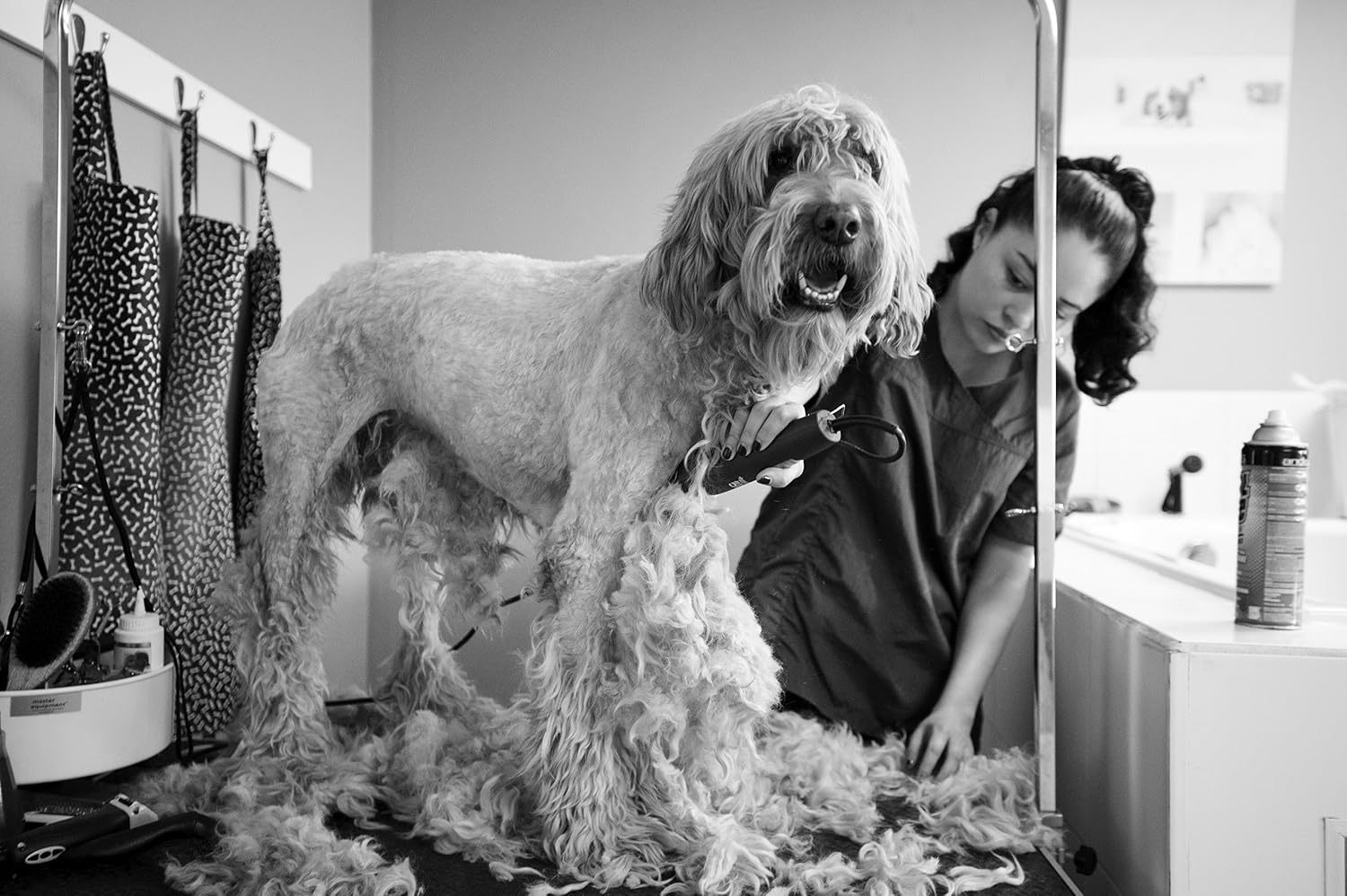 Andis UltraEdge Super 2-Speed Detachable Blade Clipper, Professional Animal/Dog Grooming, AGC2 (23280)